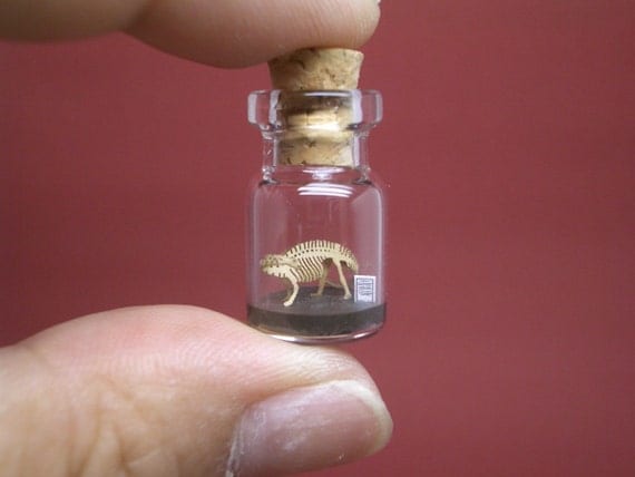 Apatosaurus / Brontosaurus in a tiny bottle
