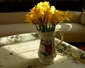 Vintage Czechoslovakian Hand Painted Pitcher