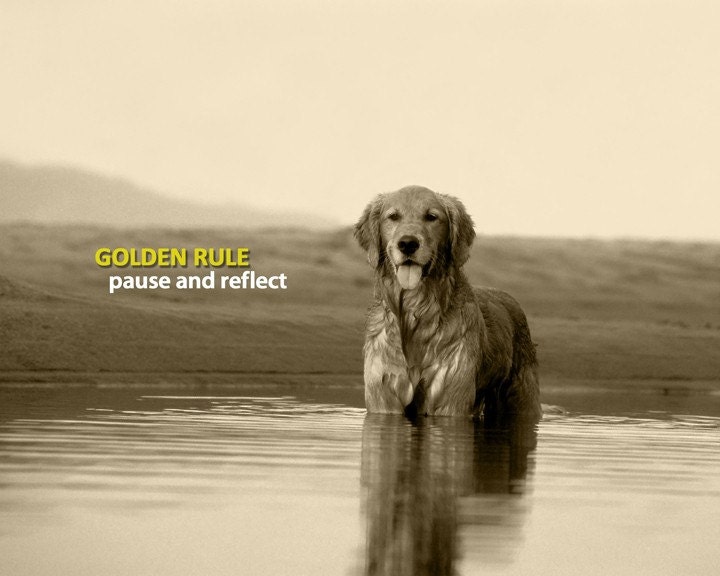 Golden Rule - Pause and Reflect (8 x 10 Print)