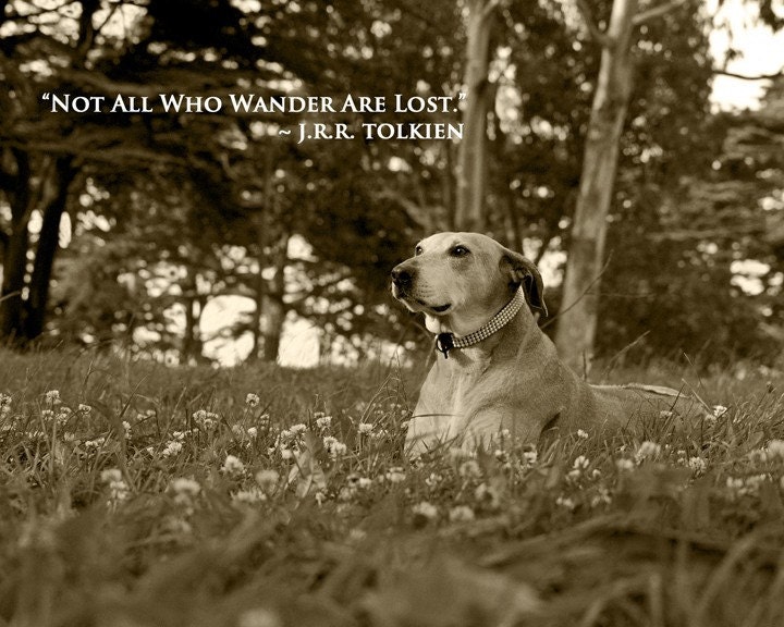 Not All Who Wander Are Lost - 8 x 10 Print