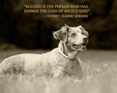 Blessed Is The Person Who Has Earned The Love of An Old Dog - 8 x 10 Print