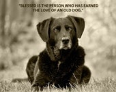 The Love Of An Old Dog - 8 x 10 Print