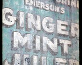 5x5 fine art photograph /// ginger mint julep /// new orleans photo by lesley sico