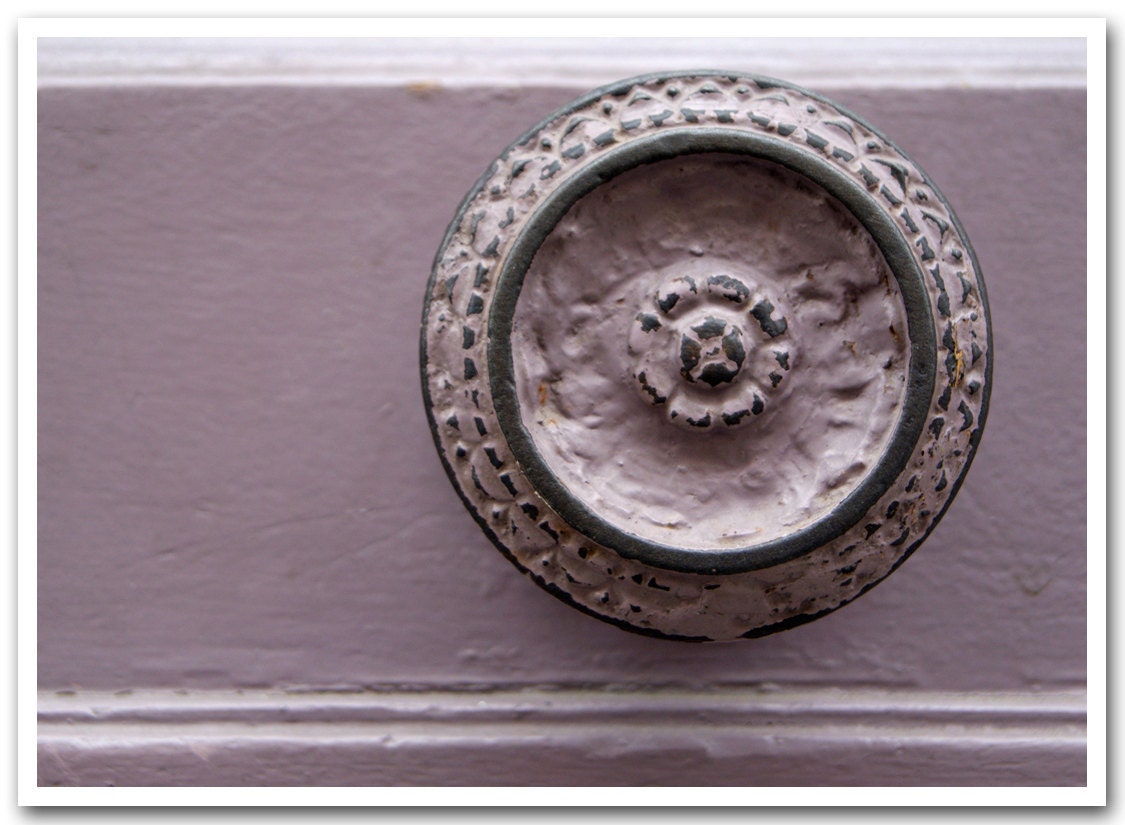 5x7 fine art photograph /// lavender rosette /// paris photo by lesley sico