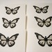 Jane Austen Butterfly Note Card Set -- handmade blank cards