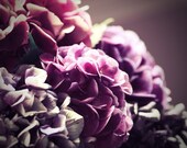 flower photo hydrangeas purple botanical art shabby chic decor plum lavender floral wall decor flower photo print