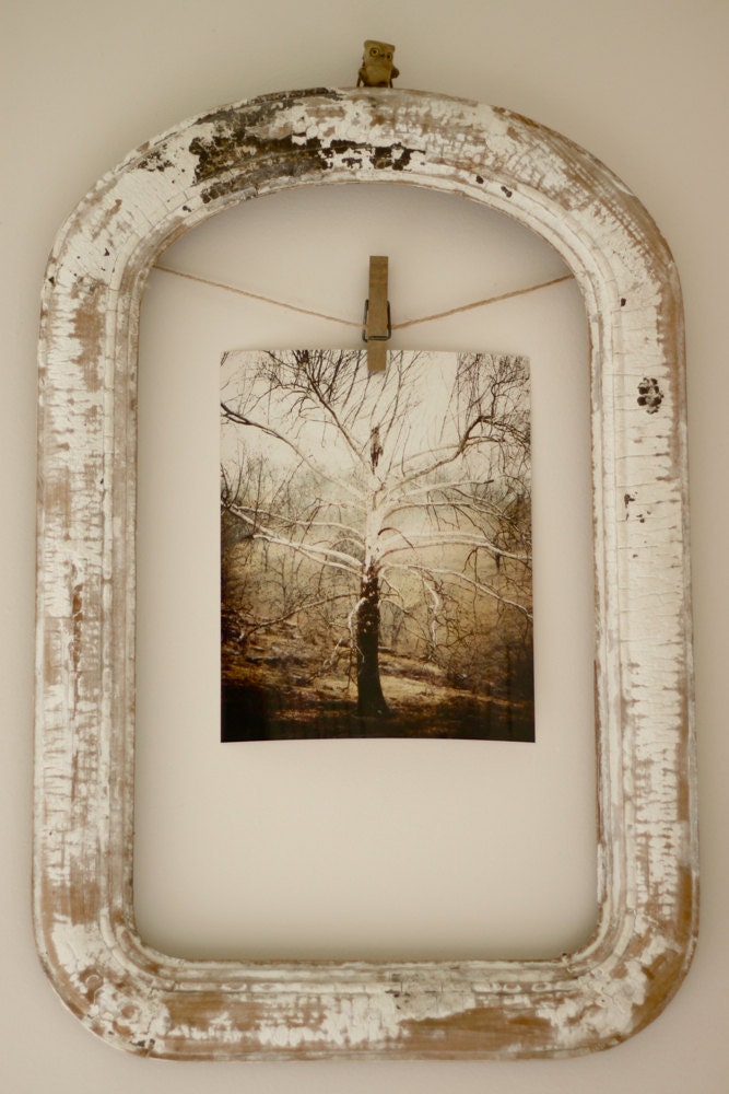bohemian decor rustic tree print nature photography sage cream beige brown minimalist wall art 8x10 print home decorating