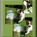 The Adventures of Precious the Dog: Book 1