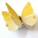 Yellow Hair Clip - Yellow Bridal Hair Clip Butterfly Bridesmaid Hair Accessories