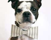 Grey and White Striped Dog Bow-tie - Bridal accessories for Dogs - LittleBlueFeathers