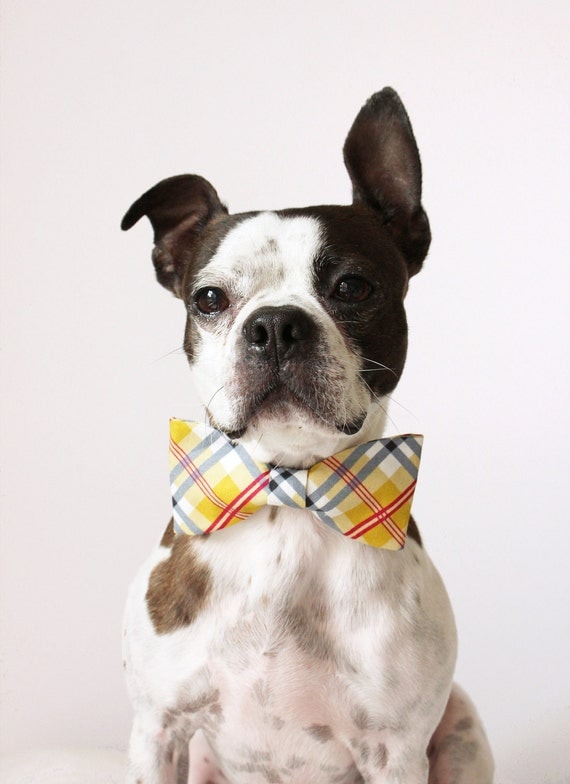 Yellow Plaid Dog Bow-tie - Handmade Dog Accessories - Regular and Large Sizes