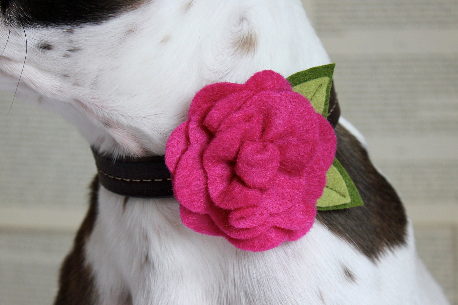 RESERVED Listing for Jackiemariee - Bright Pink Felt Flower Dog Collar Accessory