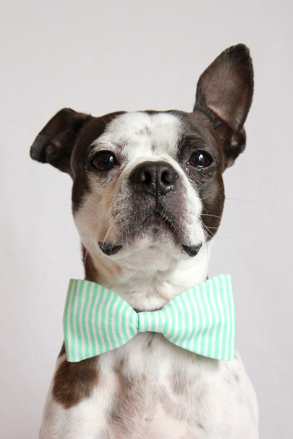 Mint Green and white Striped Dog Bow-tie