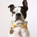 Yellow Plaid Dog Bow-tie - Handmade Dog Accessories - Regular and Large Sizes