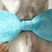 Blue Paisley Dog Bow-tie - Dog Collar Accessories - Wedding Accessories for Dogs