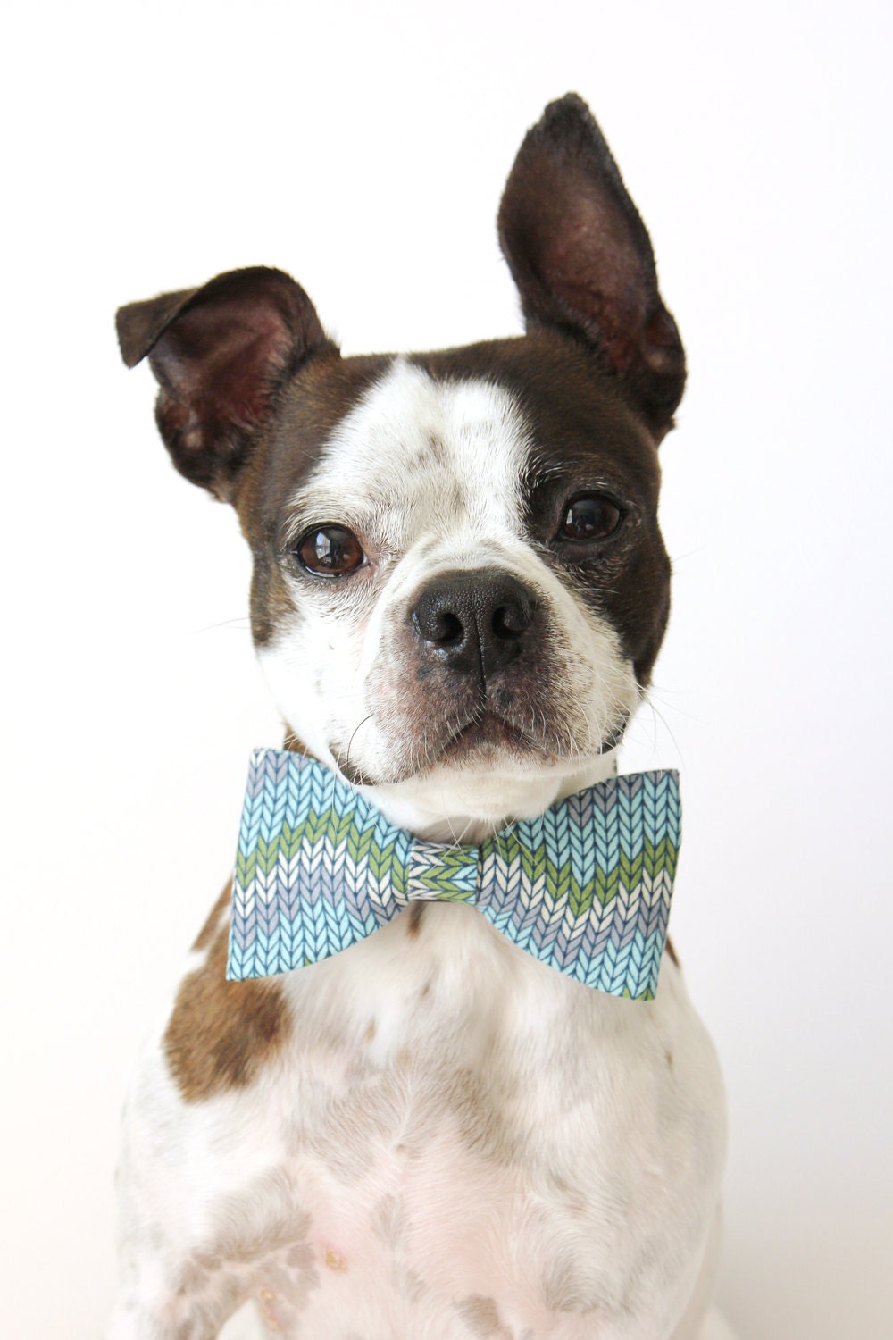 Dog Bowtie