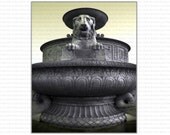 Lion Belle Isle Detroit statue fountain 5x7 photo Free Shipping Global
