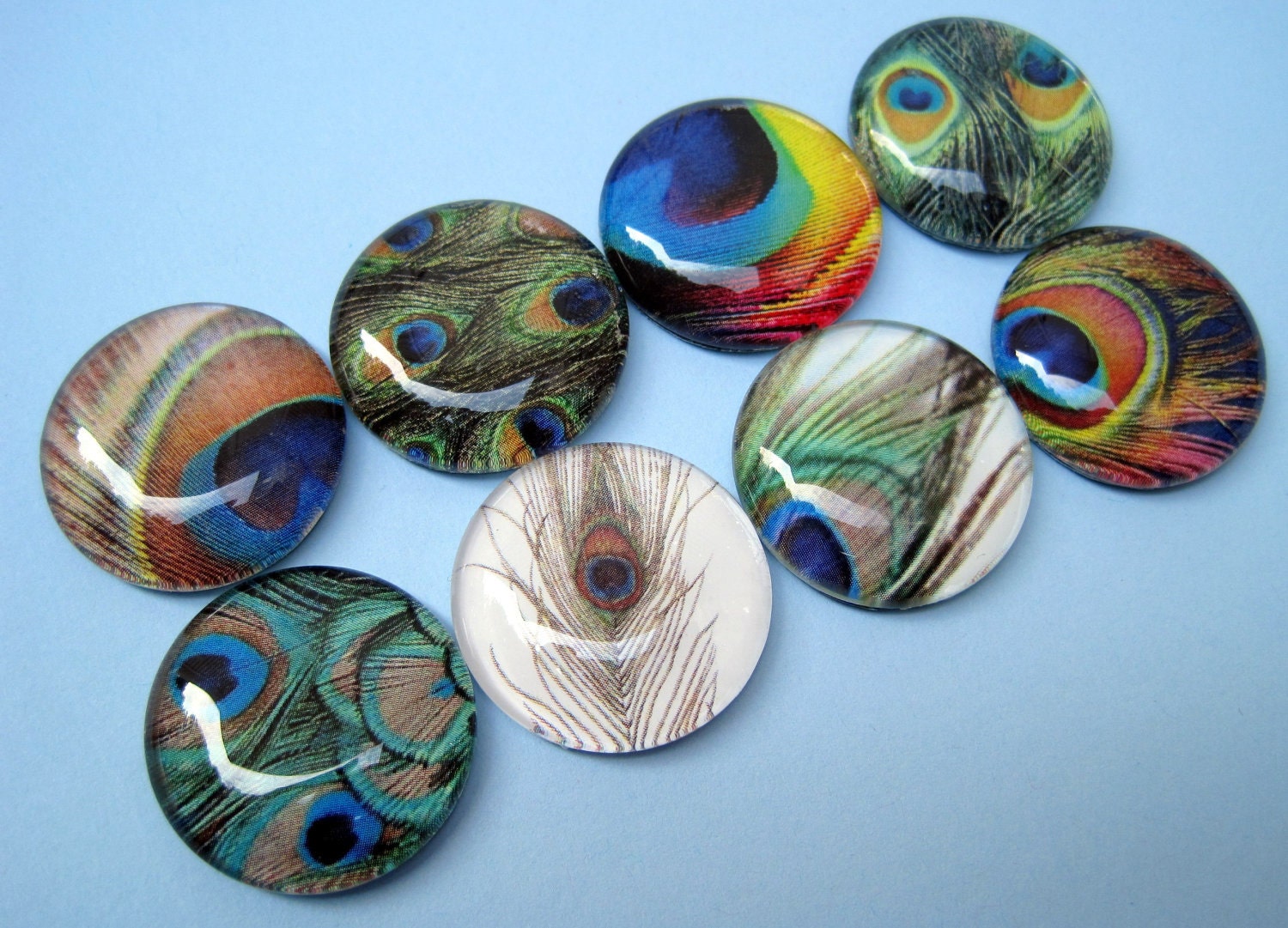 Peacock Feather Magnets - Set of Eight Glass Magnets in a Stuck Together Gift Tin