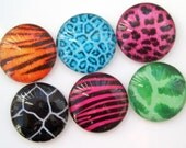 Animal Print Magnets - Inch Circle Glass - Set of Six