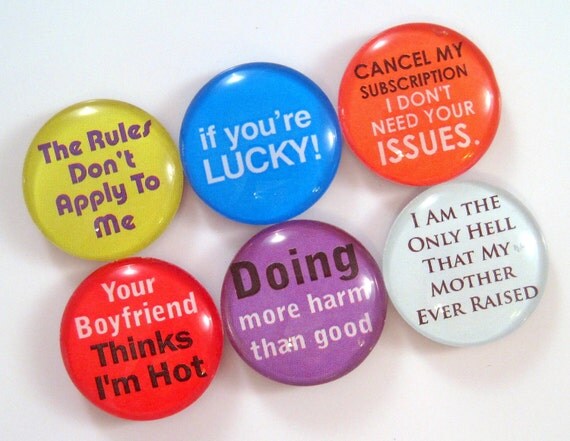 Magnets - Kinda Bitchy - Set of Six One Inch Glass Magnets