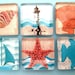 Beach Magnets - Seashells and Sailing - Inch Square Glass