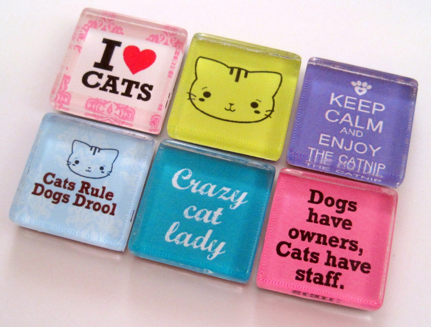 Cat Magnets - Glass Magnets - Set of Six 1 Inch Square Strong Magnets