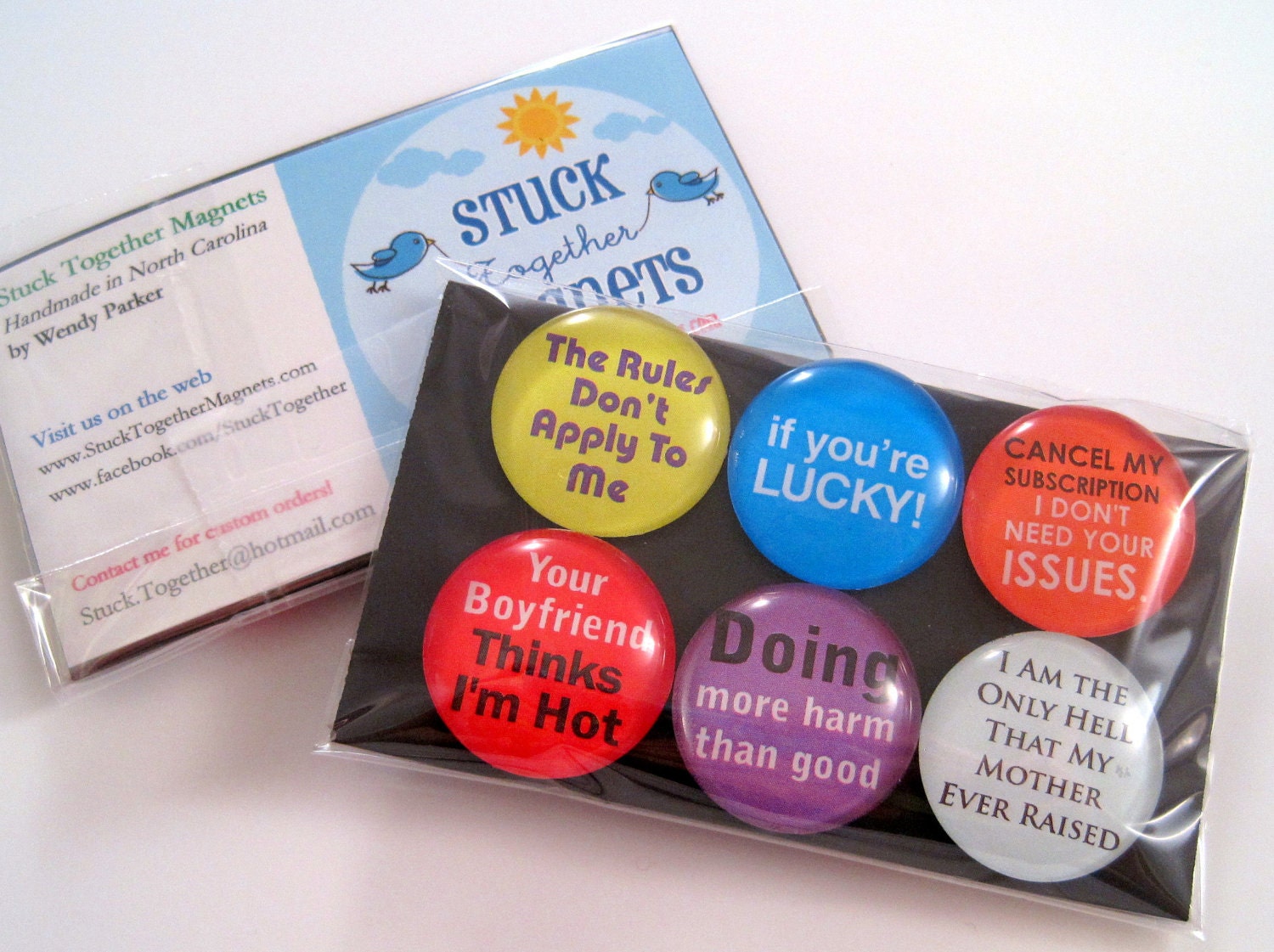 Magnets - Kinda Bitchy - Set of Six One Inch Glass Magnets