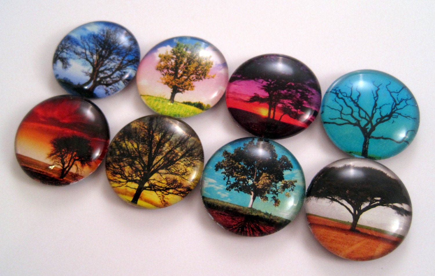 Tree Magnets - Set of Eight Glass Magnets - 1 Inch Strong Magnets