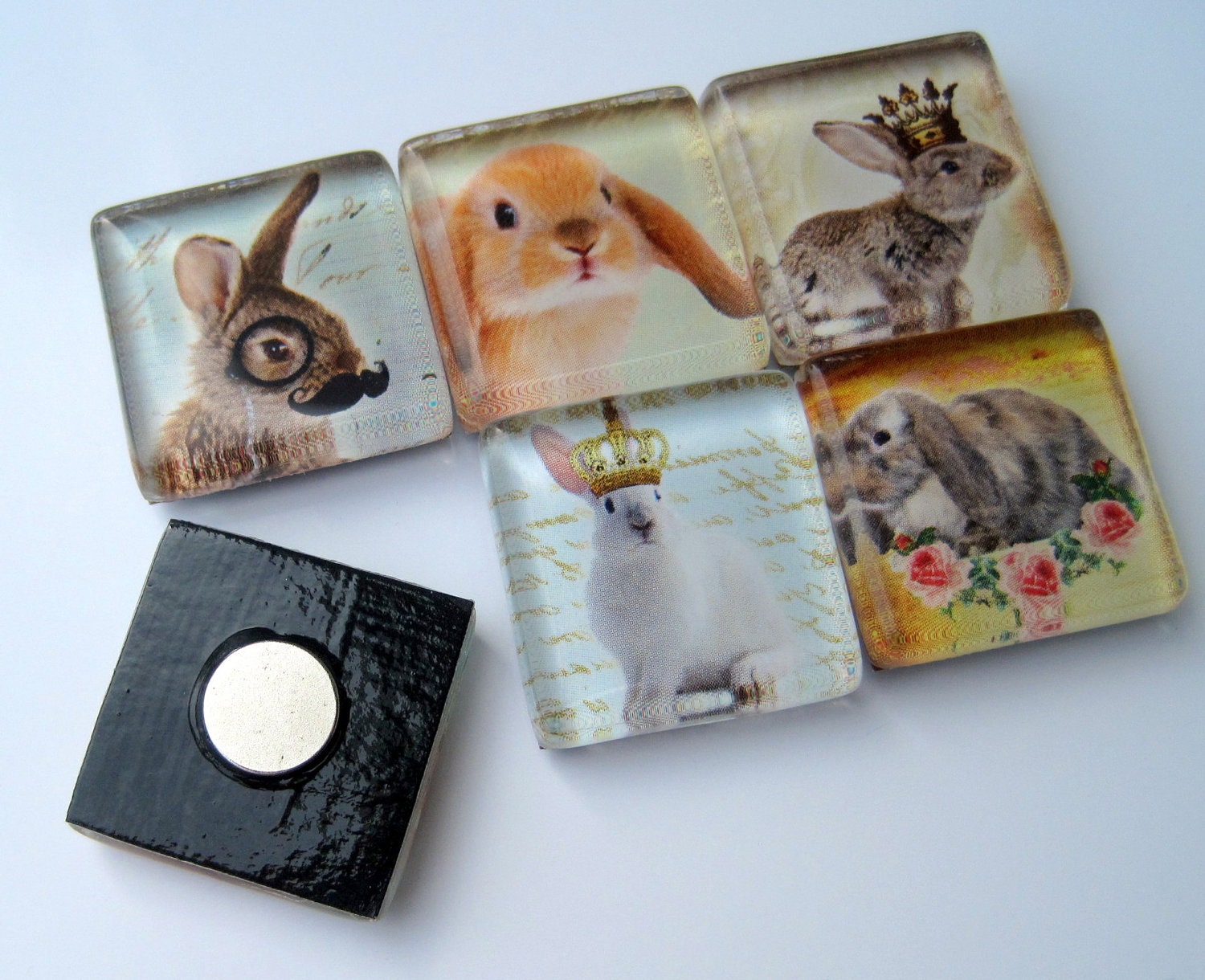 Magnets - Bunnies Rule - Set of Six 1 Inch Square Strong Magnets