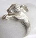 White Rabbit Ring