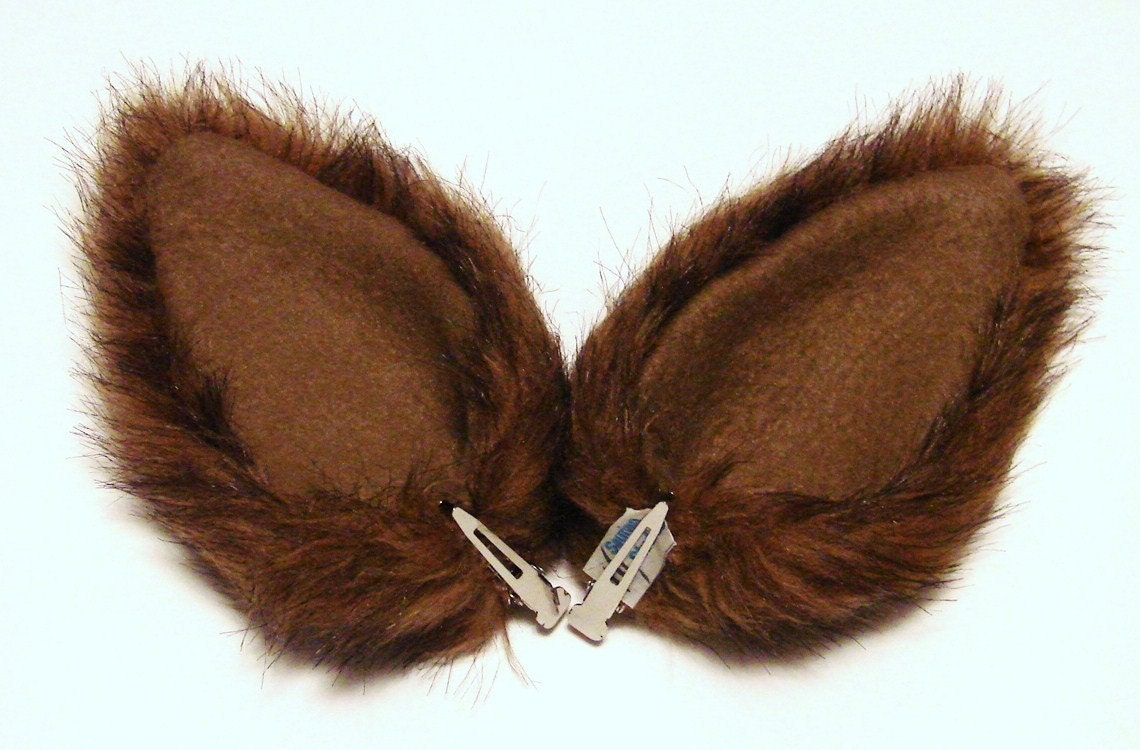 Real Wolf Ears