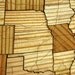 Interstate Map Puzzle - Long Leaf Pine