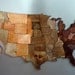 USA Magnetic Time Zone Puzzle - Stained Birch Plywood