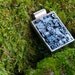 Large Rectange Letterpress Type Pendant
