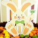 HALF PRICE - Easter Bunny Egg Hunt Complete Printable Party Collection