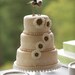 Love Bird 'Bride and Groom' Cake Toppers