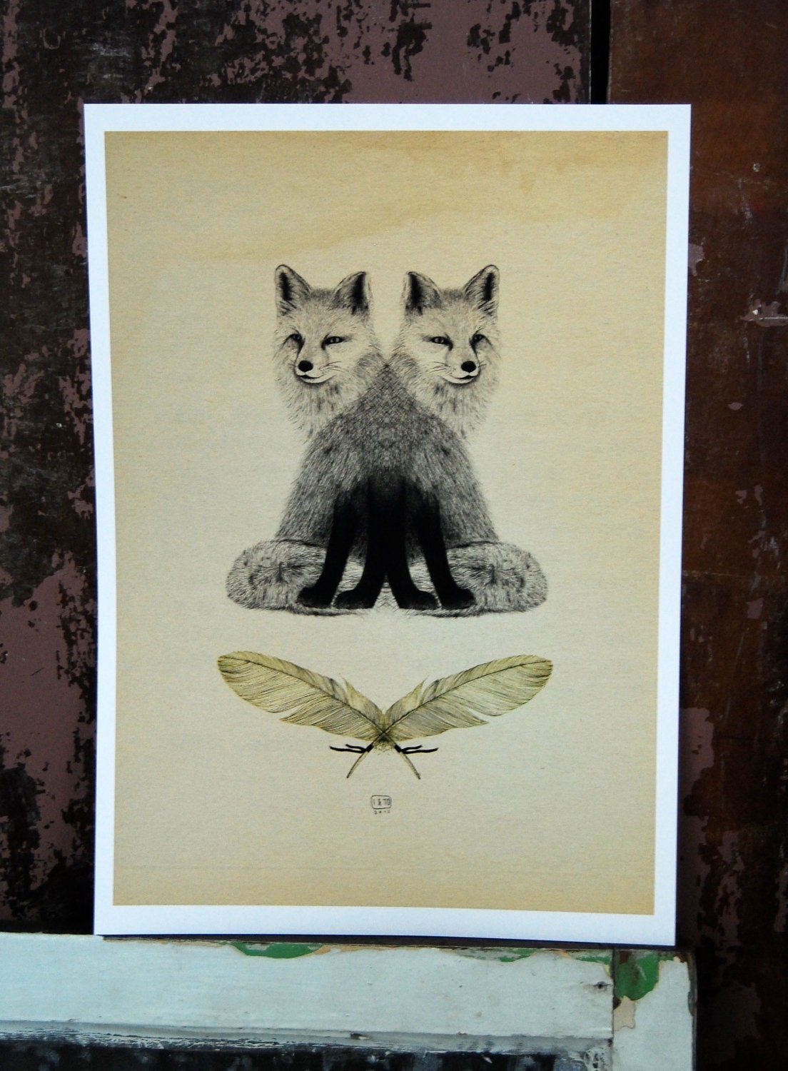 Fox & Feathers - A3 Giclee print
