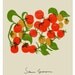 Cherry tomatoes Kitchen Art Print  11"x15" - archival fine art giclée print