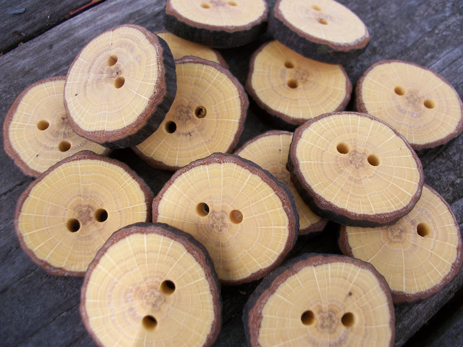 15 Oak Wood Buttons. About 1.25 Inches Wide