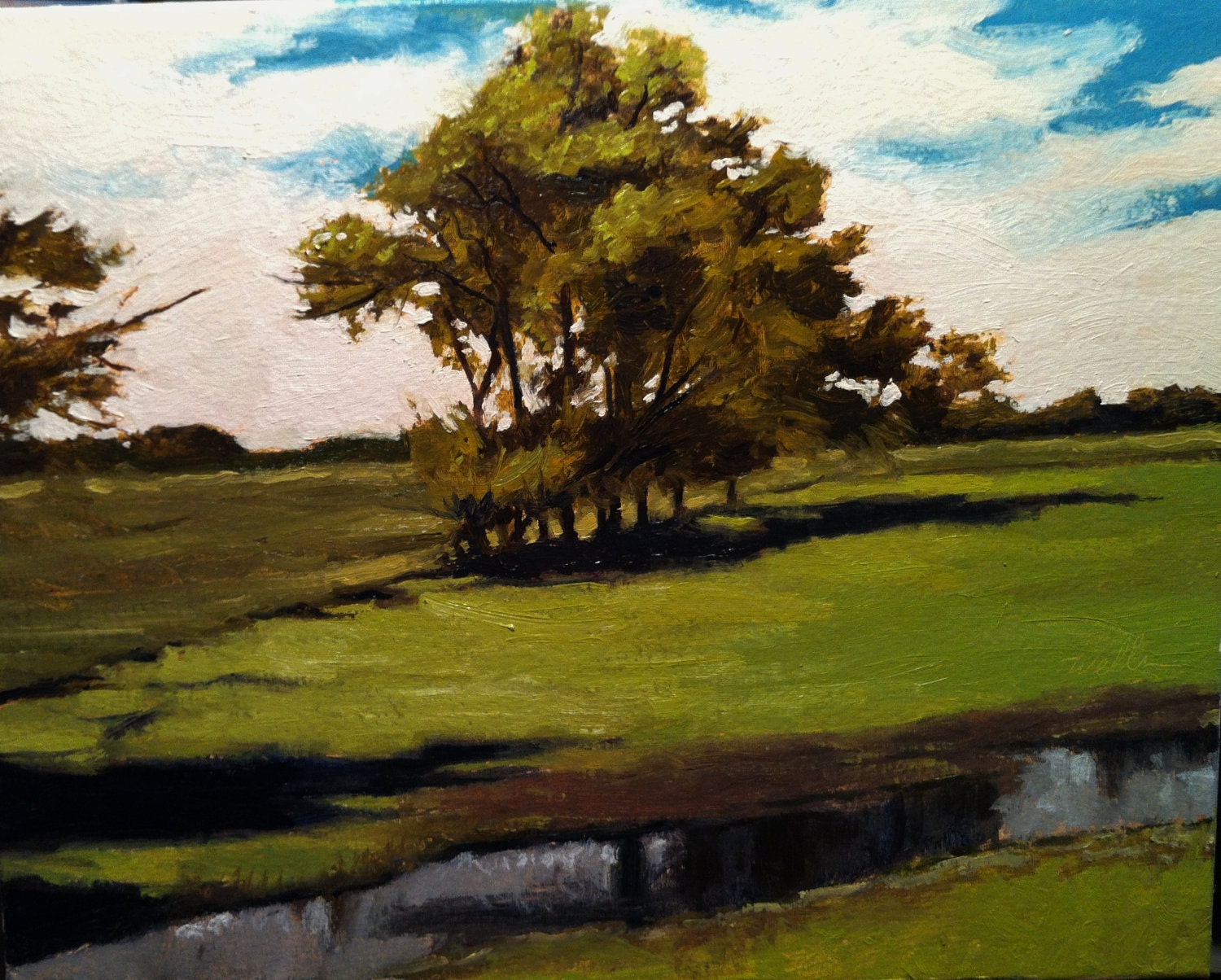 Treeline in Northeast Oklahoma City