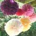 1 Large Tissue Pom.......Pick Your Color