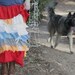 showdiva designs Tattered Tshirt Maxi Dress Asymmetrical Ruffles Galore Hippie Bohemian Chic