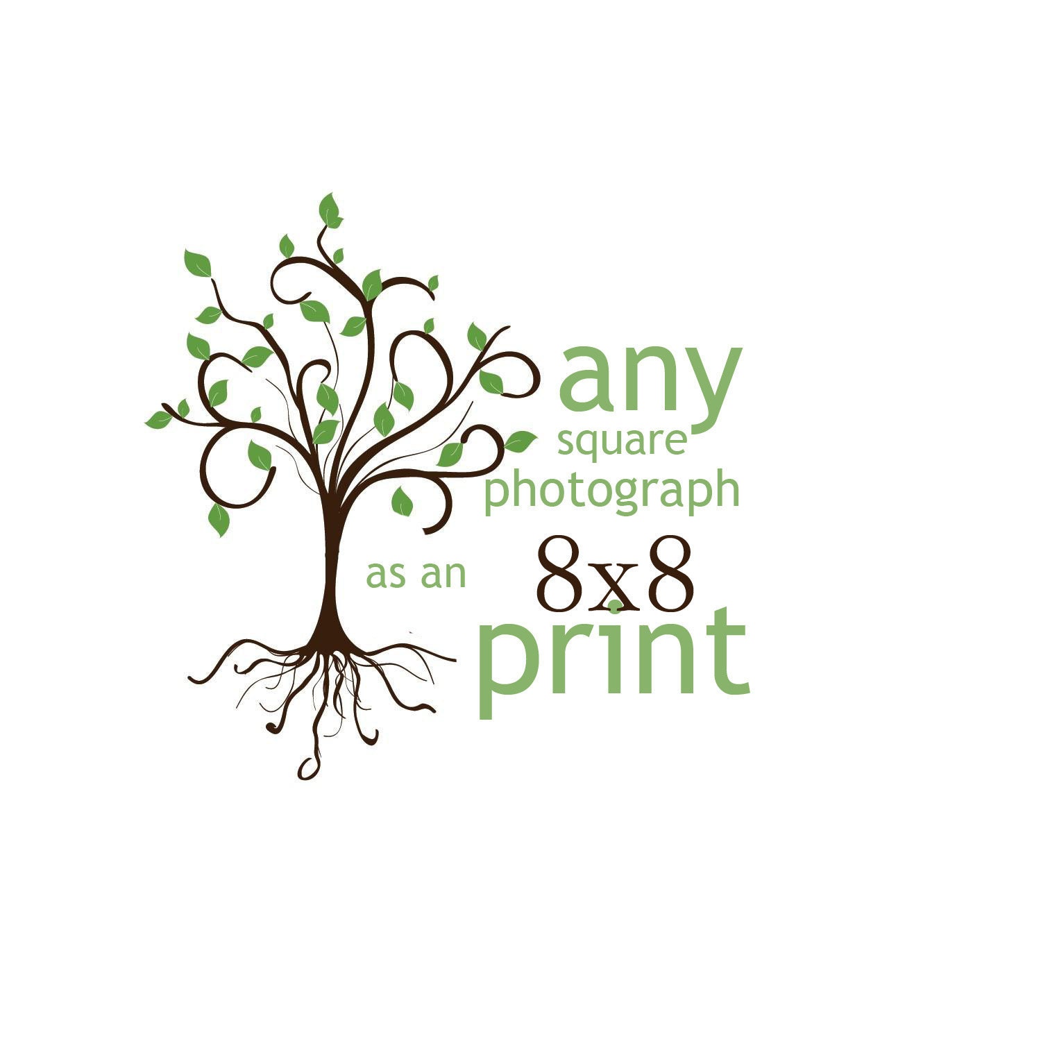 Any square photograph as an 8x8 print