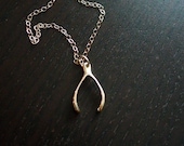 Silver Wishbone Necklace
