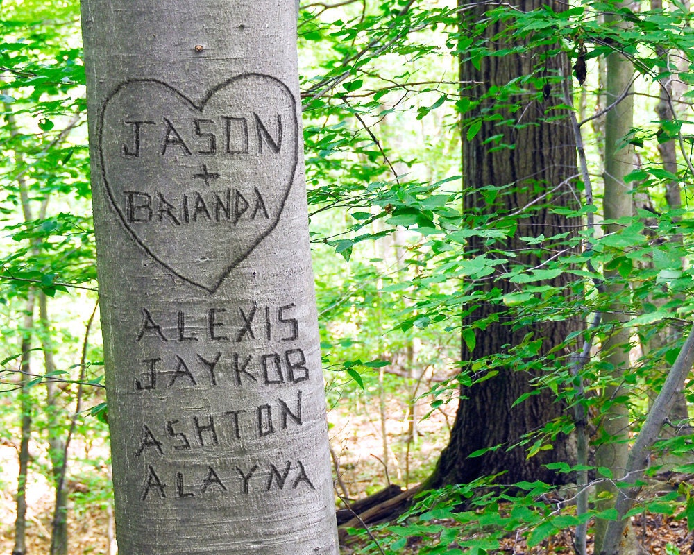 Summer Love  Personalized Tree Photograph - Names Carved in Tree - Unique Gift for Mothers, Valentines, Weddings, Anniversaries