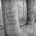 Love Tree 8x10 Inch Matted Personalized Carved Tree Photograph, Couples Names and Date on the Tree, Custom Family Print