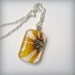 Brown-Eyed Susan Necklace - Real Pressed Flower Pendant