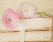 ranunculus on vintage books (5 x 7 Original fine art photography prints) FREE Shipping