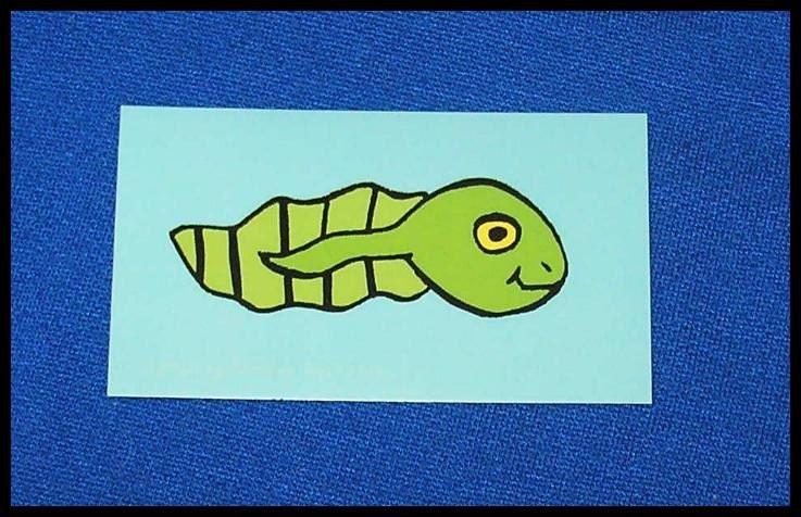 Summer Pond Tadpole Art Magnet By Thomas Buchanan Child Artist Il_170x135