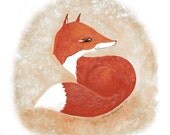 PRINT - Curious Fox